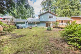 Photo 20: 19684 41A Avenue in Langley: Brookswood Langley House for sale : MLS®# R2392109
