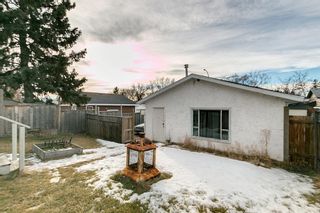 Photo 19: 3024 32A Street SE in Calgary: Dover Detached for sale : MLS®# A1175138