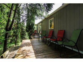 Photo 18: 38 10221 WILSON Street in Mission: Stave Falls Manufactured Home for sale in "TRIPLE CREEK ESTATES" : MLS®# F1411178