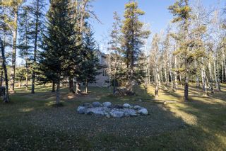 Photo 42: 17 Pears Road in Rural Bighorn No. 8, M.D. of: Rural Bighorn M.D. Detached for sale : MLS®# A2005749