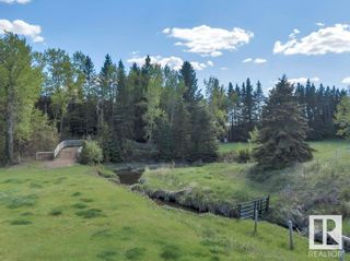 Photo 46: 233027 HWY 613: Rural Wetaskiwin County House for sale : MLS®# E4297080