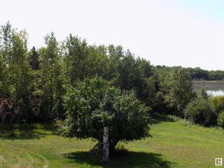 Photo 40: 31, 464079 RGE RD 244: Rural Wetaskiwin County House for sale : MLS®# E4354488