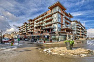 Main Photo: 316 122 Mahogany Centre SE in Calgary: Mahogany Apartment for sale : MLS®# A2107853