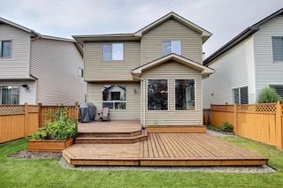 Photo 36:  in Calgary: Cranston Detached for sale : MLS®# A1024102