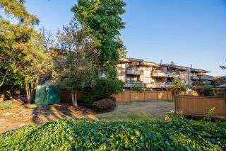 Photo 23: 203 1195 PIPELINE Road in Coquitlam: New Horizons Condo for sale : MLS®# R2738967