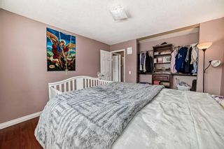 Photo 15: 19 Hunterhorn Place NE in Calgary: Huntington Hills Detached for sale : MLS®# A2143297