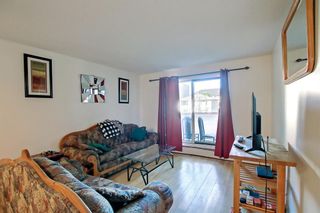 Photo 7: 101 1712 38 Street SE in Calgary: Forest Lawn Apartment for sale : MLS®# A1242140
