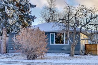 Photo 2: 2504 18 Street NW in Calgary: Capitol Hill Detached for sale : MLS®# A1176540