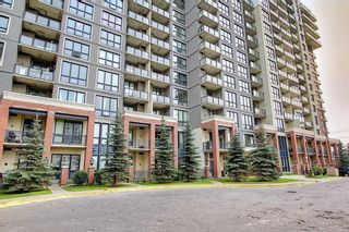 Photo 40: 1017 8880 Horton Road SW in Calgary: Haysboro Apartment for sale : MLS®# A1223060
