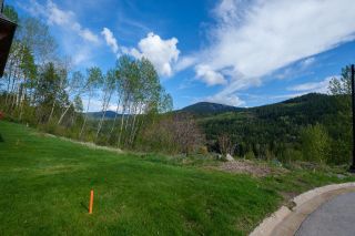 Photo 8: 1021 SILVERTIP ROAD in Rossland: Vacant Land for sale : MLS®# 2470639