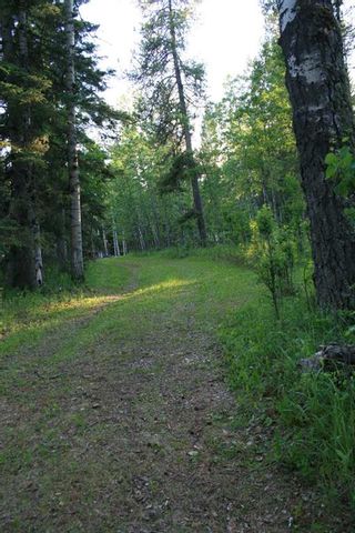 Photo 5: 127 50056 35-0 Township: Rural Clearwater County Residential Land for sale : MLS®# A2142249