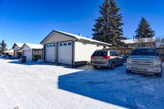 Photo 10: 119 Madeira Place NE in Calgary: Marlborough Park Detached for sale : MLS®# A1185857