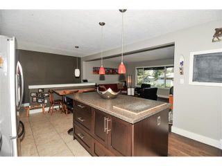 Photo 7: 23 FAIRVIEW Crescent SE in Calgary: Fairview House for sale : MLS®# C4019623
