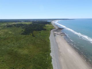 Photo 7: Lot Bartlett Shore Road in Beaver River: Digby County Vacant Land for sale (Annapolis Valley)  : MLS®# 201905390