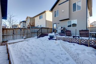 Photo 29: 404 Cranberry Circle SE in Calgary: Cranston Detached for sale : MLS®# A2021203