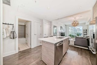 Photo 5: 313 38 9 Street NE in Calgary: Bridgeland/Riverside Apartment for sale : MLS®# A2133357