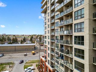 Photo 38: 714 8710 Horton Road SW in Calgary: Haysboro Apartment for sale : MLS®# A2126687