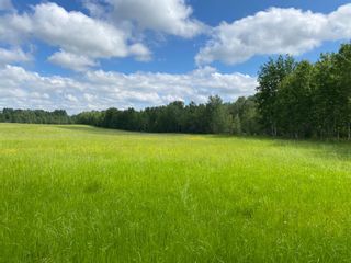 Photo 6: On Range Road 33 in Rural Wetaskiwin No. 10, County of: Rural Wetaskiwin County Residential Land for sale : MLS®# A1235966