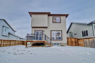 Photo 16: 236 Ranch Close: Strathmore Detached for sale : MLS®# A2021103