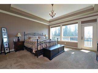 Photo 25: 2008 MERLOT Blvd in Abbotsford: Home for sale : MLS®# F1421188