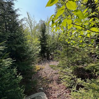 Photo 15: Lot 9EF-2 Raspberry Court in Italy Cross: 405-Lunenburg County Vacant Land for sale (South Shore)  : MLS®# 202309685