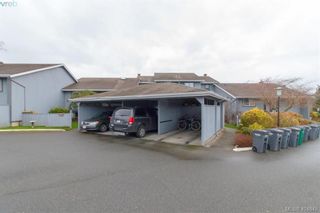 Photo 21: 15 4391 Torquay Dr in VICTORIA: SE Gordon Head Row/Townhouse for sale (Saanich East)  : MLS®# 804063