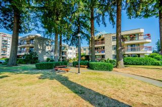 Photo 24: 134 31955 OLD YALE Road in Abbotsford: Abbotsford West Condo for sale in "EVERGREEN VILLAGE" : MLS®# R2803764
