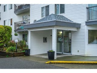 Photo 2: 401 31831 PEARDONVILLE Road in Abbotsford: Abbotsford West Condo for sale : MLS®# R2746008