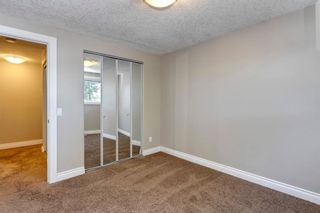 Photo 20: 3907 29 Avenue SE in Calgary: Dover Row/Townhouse for sale : MLS®# A1229357