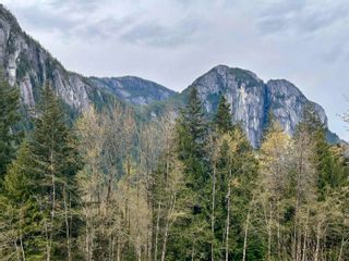 Photo 7: 2240 WIND SAIL Place in Squamish: Plateau Land for sale in "Crumpit Woods" : MLS®# R2866584