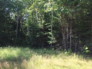 Photo 3: Lot 58 Turner Point Crossover in Walden: 405-Lunenburg County Vacant Land for sale (South Shore)  : MLS®# 202218144