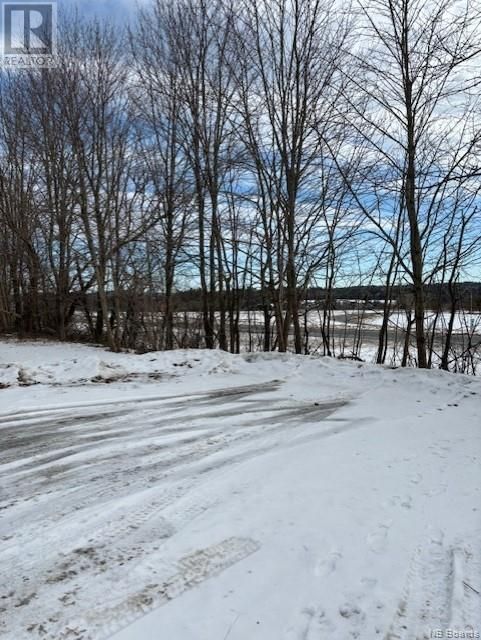 Main Photo: 9321 Route 3 in St. Stephen: Vacant Land for sale : MLS®# NB095705