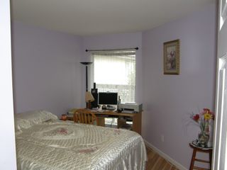 Photo 43: 307 19121 FORD ROAD in EDGEFORD MANOR: Home for sale : MLS®# R2009925