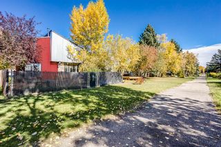 Photo 19: 3007 32A Avenue SE in Calgary: Dover Detached for sale : MLS®# A1159653