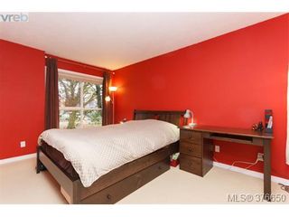Photo 10: 202 2529 Wark St in VICTORIA: Vi Hillside Condo for sale (Victoria)  : MLS®# 756205