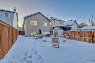 Photo 38: 395 Copperfield Grove SE in Calgary: Copperfield Detached for sale : MLS®# A2009768
