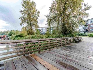 Photo 17: 204 23255 BILLY BROWN Road in Langley: Fort Langley Condo for sale in "The Village at Bedford Landing" : MLS®# R2404163
