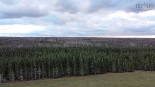 Photo 11: Lot Nollett Beckwith Road in Ogilvie: 404-Kings County Vacant Land for sale (Annapolis Valley)  : MLS®# 202120227
