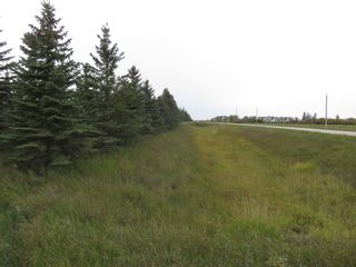 Photo 4: 0 Centreline Road: RM Springfield Vacant Land for sale (R04)  : MLS®# 202103923