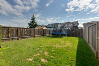 Photo 33: 16 Arthur Close: Red Deer Semi Detached (Half Duplex) for sale : MLS®# A1244428