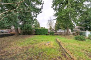 Photo 35: 2815 MAPLE Street in Abbotsford: Central Abbotsford House for sale : MLS®# R2855206