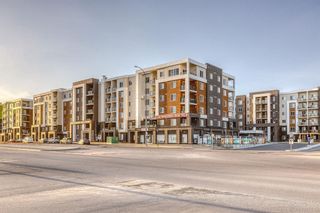 Photo 4: 1203 4641 128 Avenue NE in Calgary: Skyview Ranch Apartment for sale : MLS®# A2042459