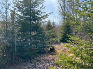 Photo 9: Lot 21 Lakeside Drive in Little Harbour: 108-Rural Pictou County Vacant Land for sale (Northern Region)  : MLS®# 202207907
