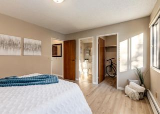 Photo 16: 203 330 15 Avenue SW in Calgary: Beltline Apartment for sale : MLS®# A2093426