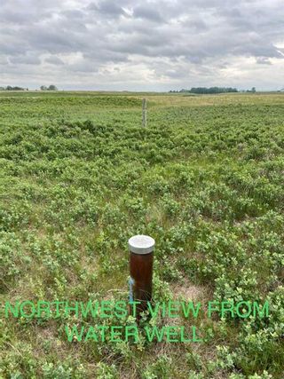 Photo 12: 270020 TWP 254 254015 RR270 NE in Rural Rocky View County: Rural Rocky View MD Commercial Land for sale : MLS®# A1163137