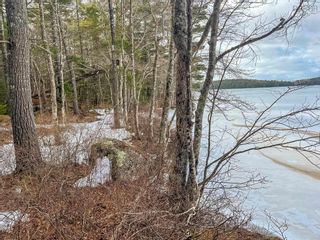 Photo 9: Lot 19 Acres Highway 8 in South Brookfield: 406-Queens County Vacant Land for sale (South Shore)  : MLS®# 202302255