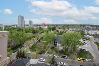 Photo 30: 2202 24 Hemlock Crescent SW in Calgary: Spruce Cliff Apartment for sale : MLS®# A2016063