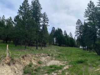 Photo 8: Lot 68 SANDSTONE COURT in Invermere: Vacant Land for sale : MLS®# 2468746