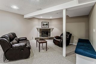 Photo 28: 139 Appletree Close SE in Calgary: Applewood Park Detached for sale : MLS®# A1022936