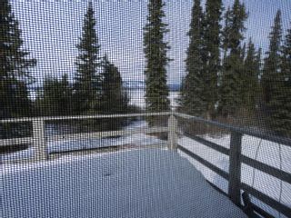Photo 22: BLK A FOURTH OF JULY: Atlin House for sale (Iskut to Atlin)  : MLS®# R2669926